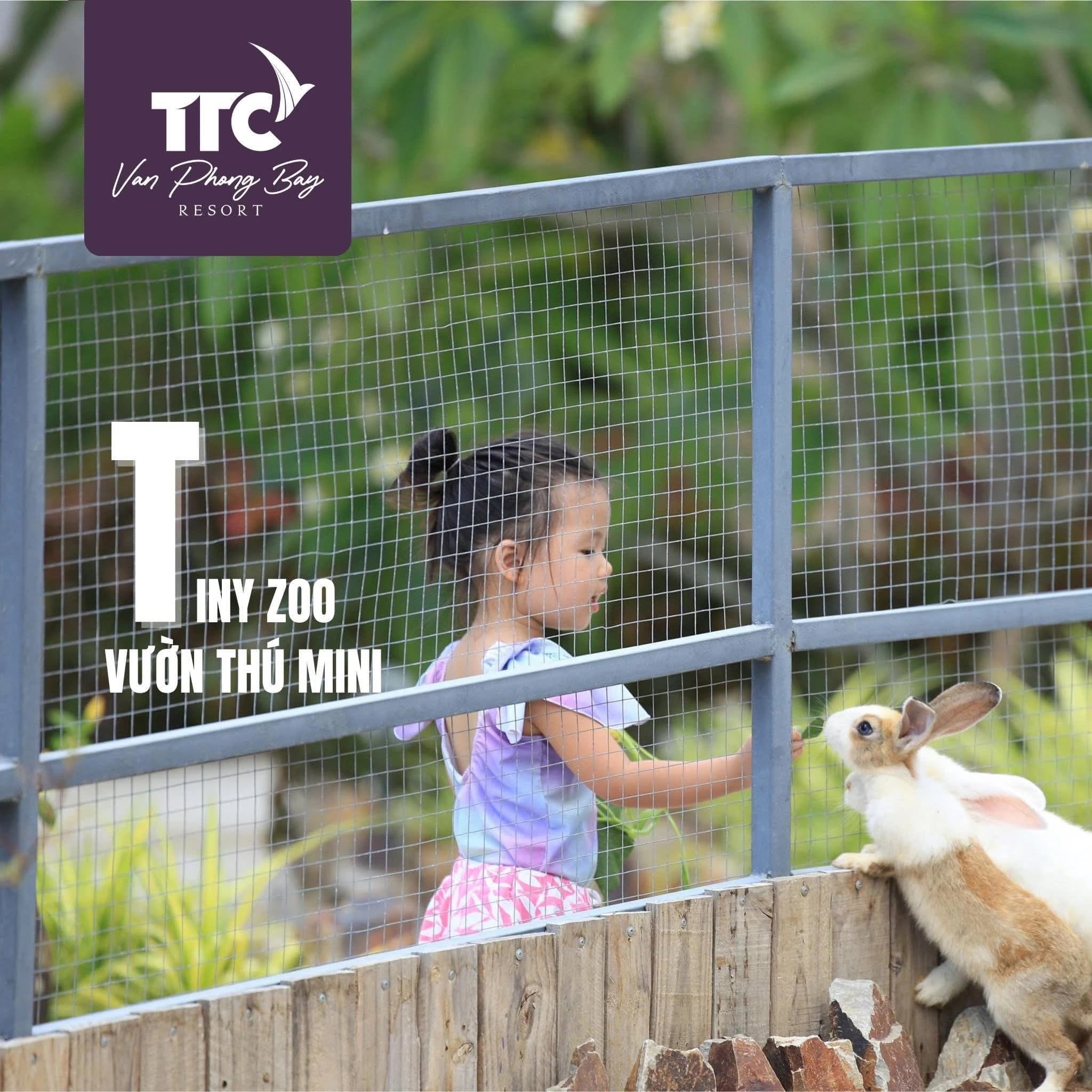 TTC Van Phong Bay Resort — ảnh 19