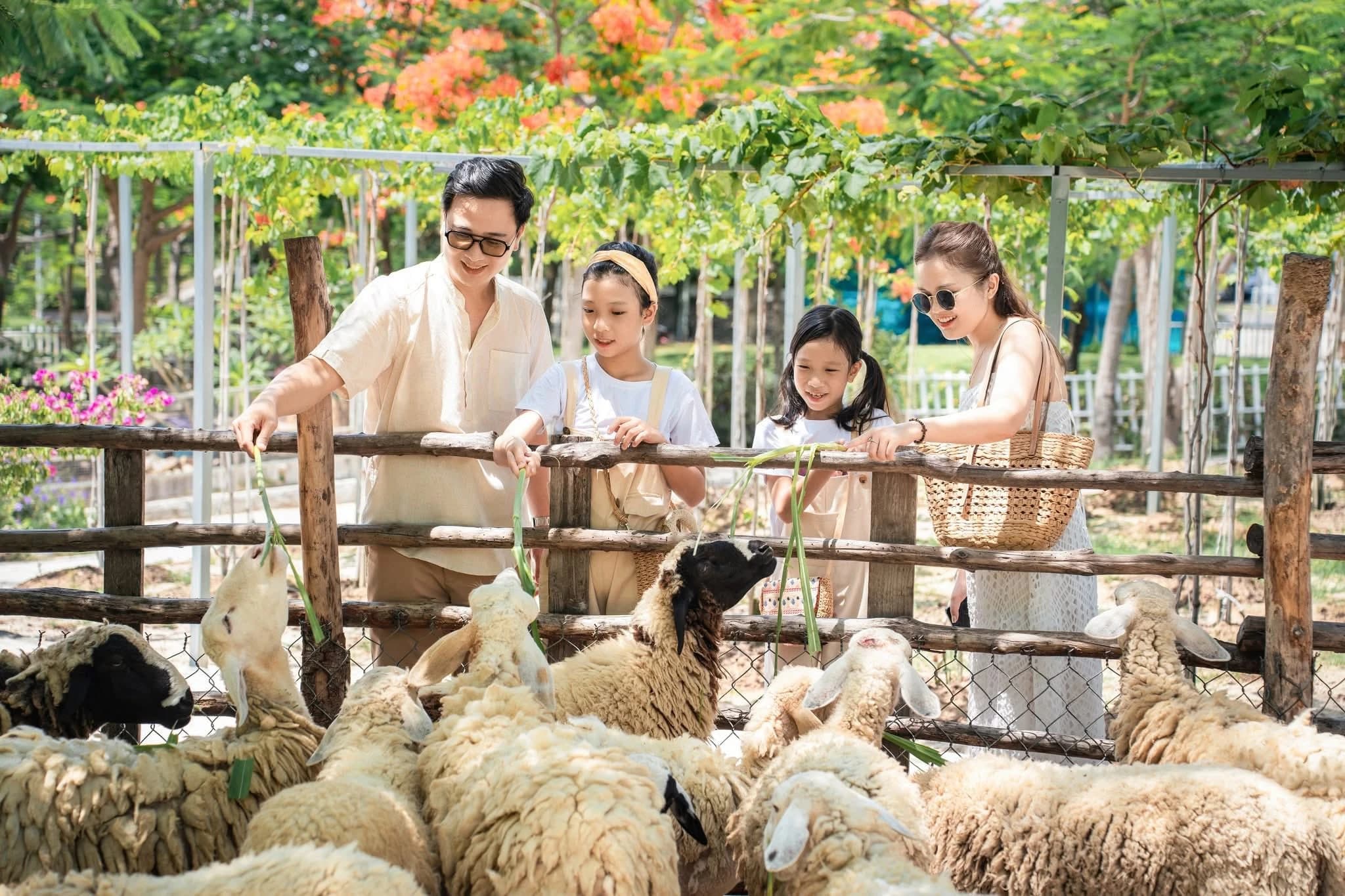 TTC Van Phong Bay Resort — ảnh 20
