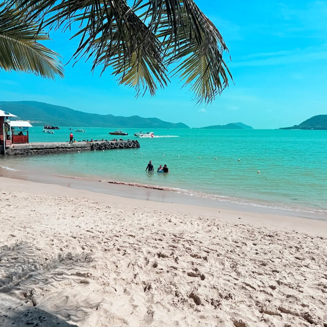 Bai Tranh — reference photo 1