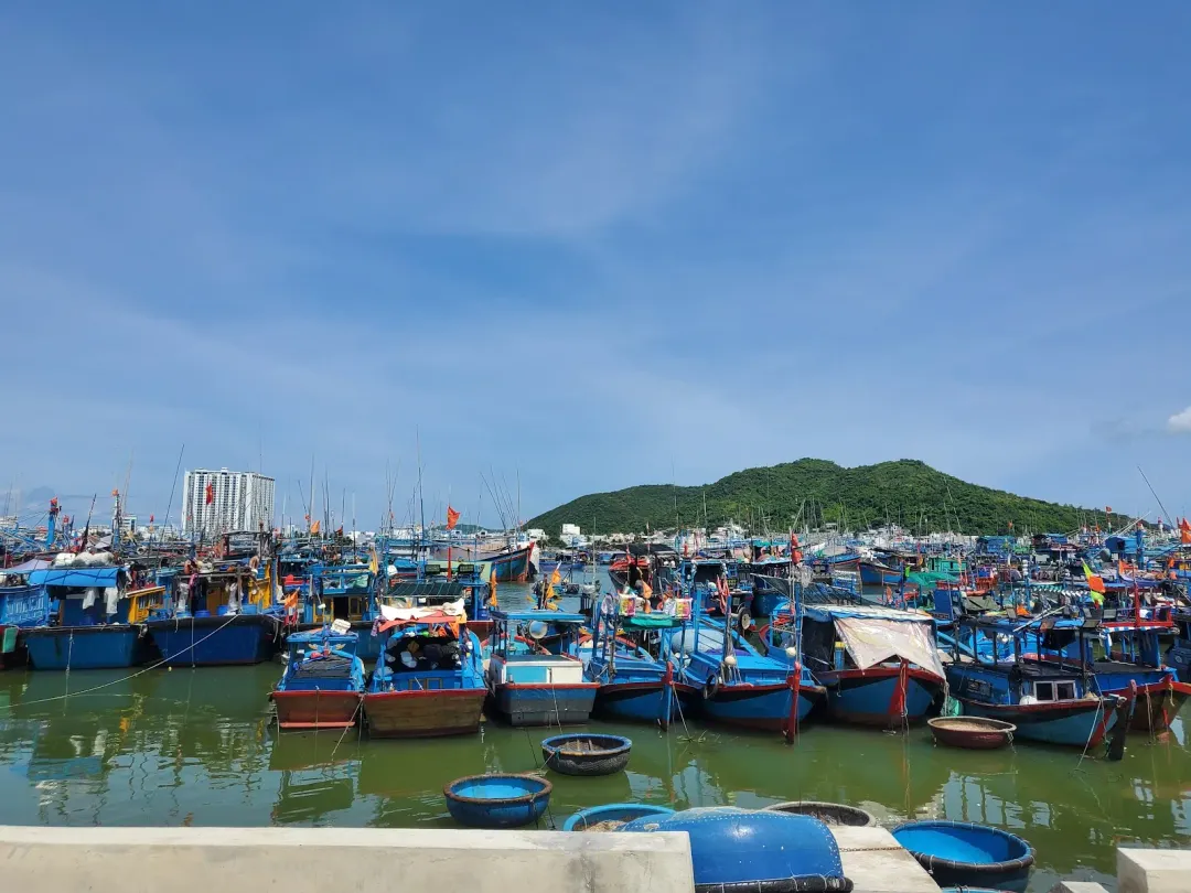 Hon Ro market — reference photo 3